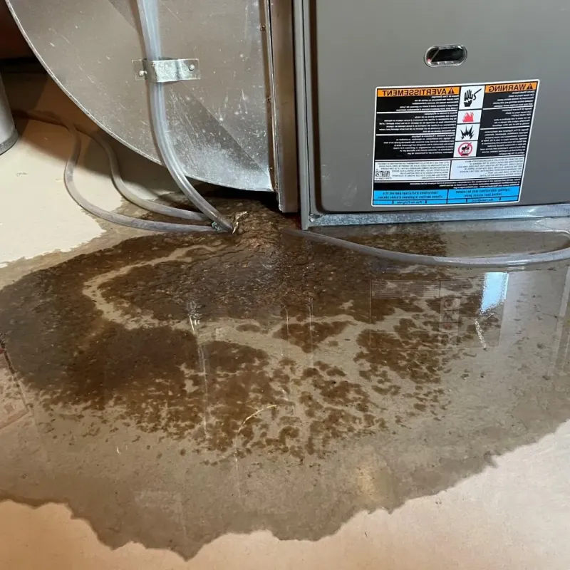 Pipe Burst and Leak Restoration in Bishop, CA